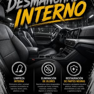 DESMANCHADO INTERNO